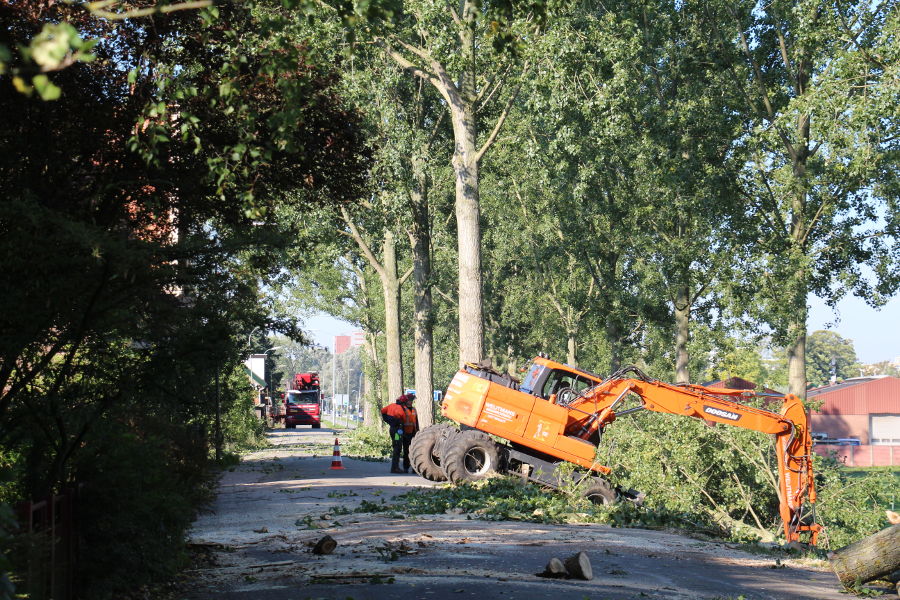 Dordrecht – dunning populieren - Foto 5