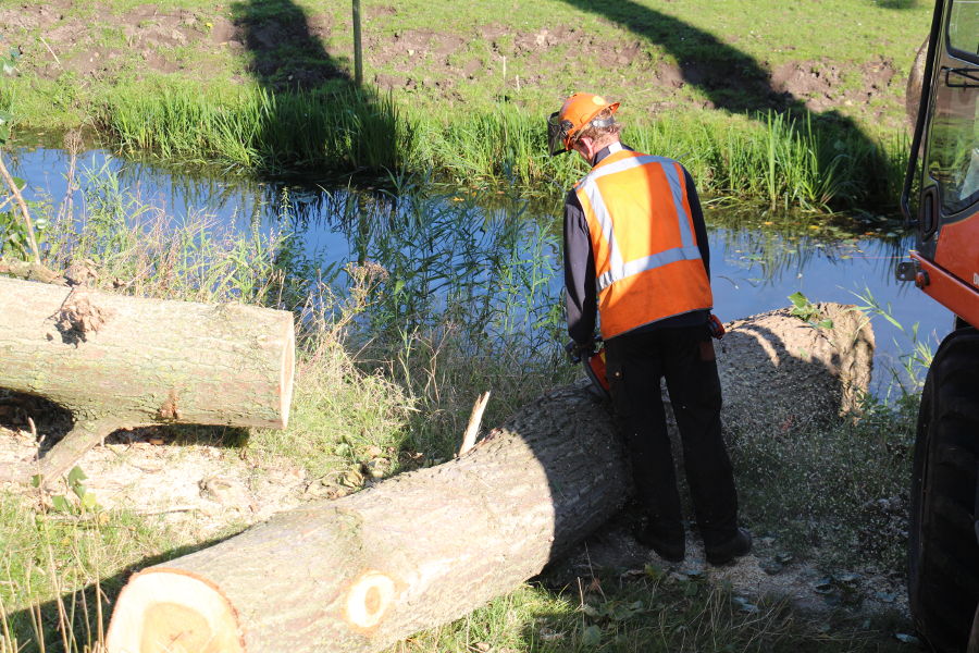 Dordrecht – dunning populieren - Foto 6