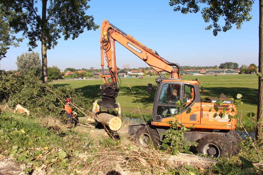 Dordrecht – dunning populieren - Foto 8