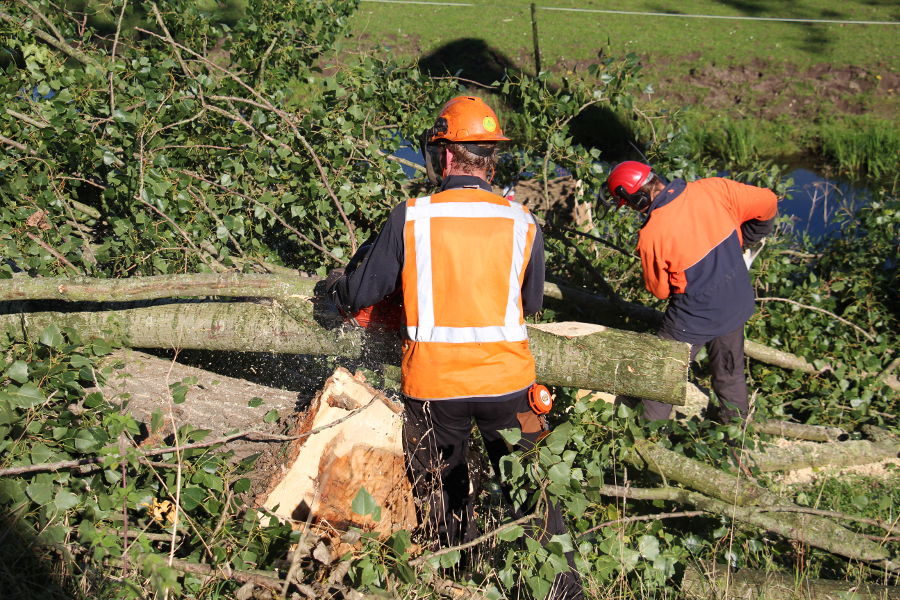 Dordrecht – dunning populieren - Foto 9