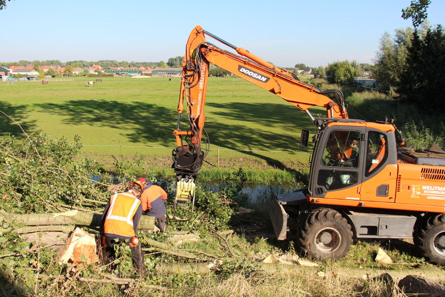 Dordrecht – dunning populieren - Foto 10