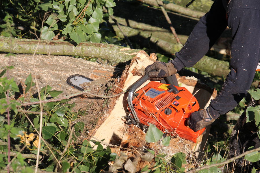 Dordrecht – dunning populieren - Foto 11