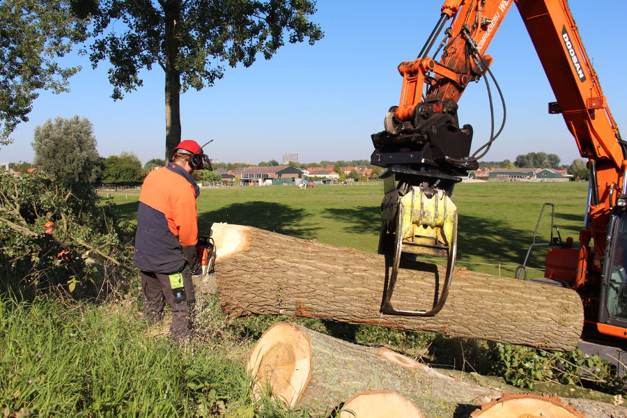 Dordrecht – dunning populieren - Foto 12