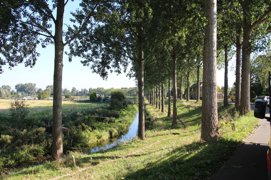 Dordrecht – dunning populieren - Foto 13