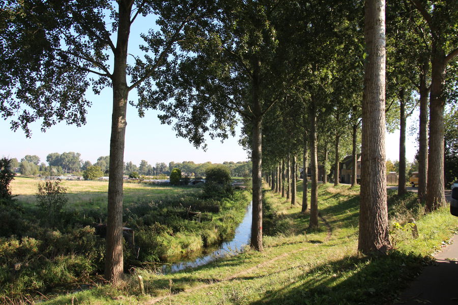 Dordrecht – dunning populieren - Foto 14
