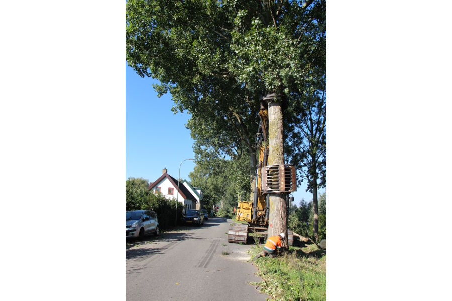 Dordrecht – dunning populieren - Foto 15