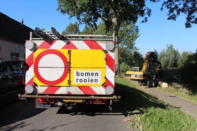 Dordrecht – dunning populieren - Foto 16