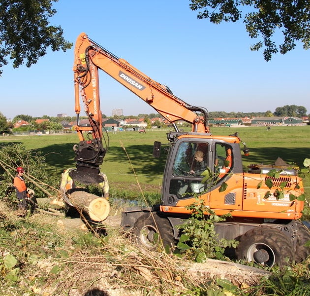 Dordrecht – dunning populieren