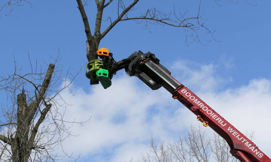 Rooien, ruimen, frezen van 500 populieren in de gemeente Beuningen - Foto 5