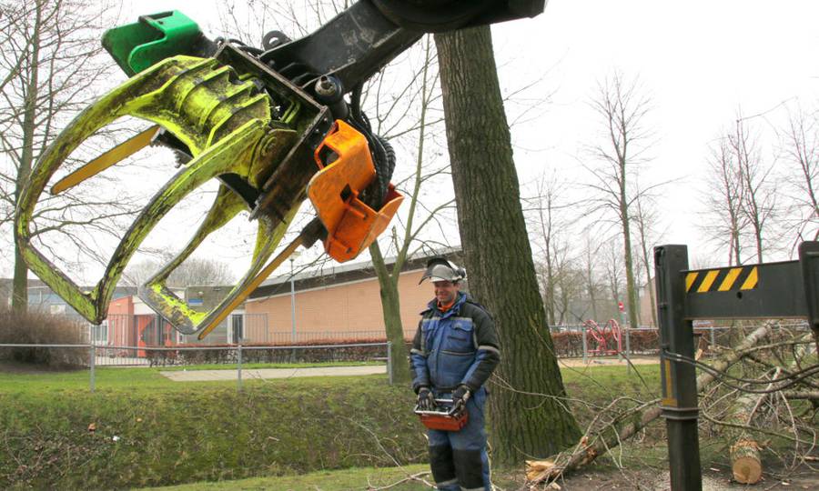 Rooien, ruimen, frezen van 500 populieren in de gemeente Beuningen - Foto 19