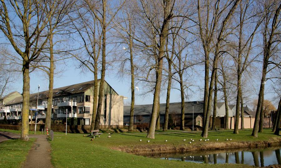 Rooien, ruimen, frezen van 500 populieren in de gemeente Beuningen - Foto 22