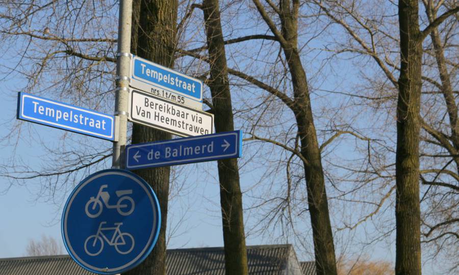 Rooien, ruimen, frezen van 500 populieren in de gemeente Beuningen - Foto 23