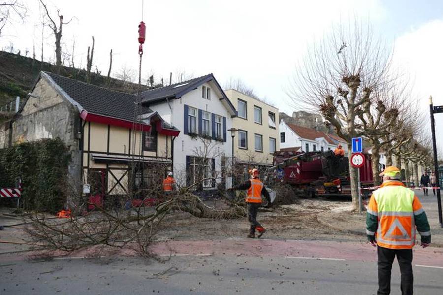 Valkenburg, Limburg – Rooien van bomen - Foto 1