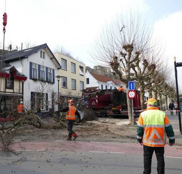 Valkenburg, Limburg – Rooien van bomen