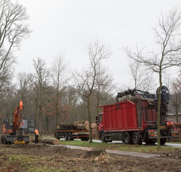 Renovatie Schoorstraat Udenhout