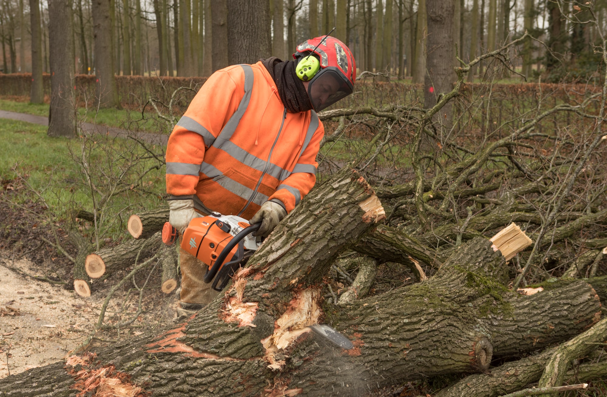 Renovatie Schoorstraat Udenhout - Foto 9