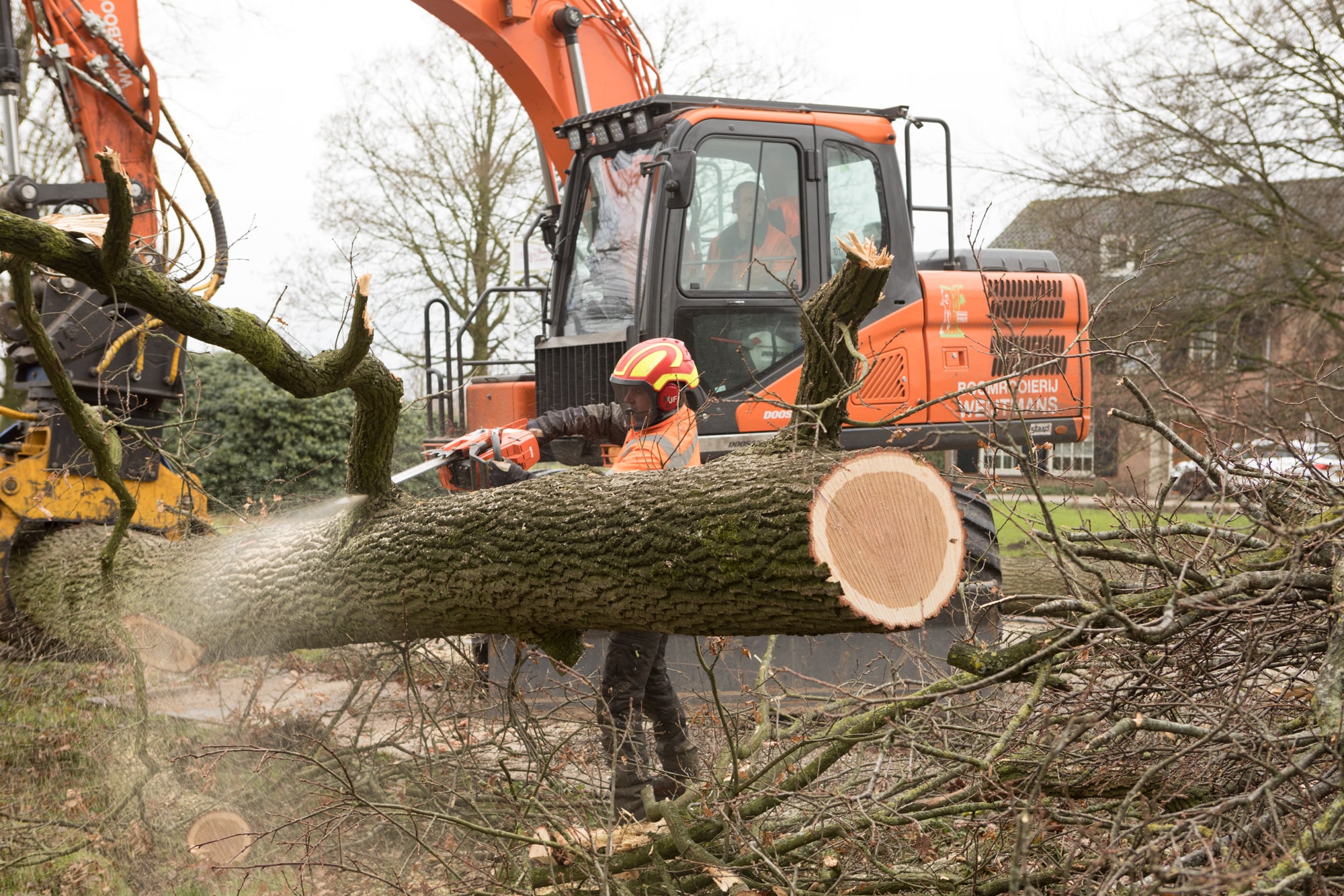 Renovatie Schoorstraat Udenhout - Foto 12