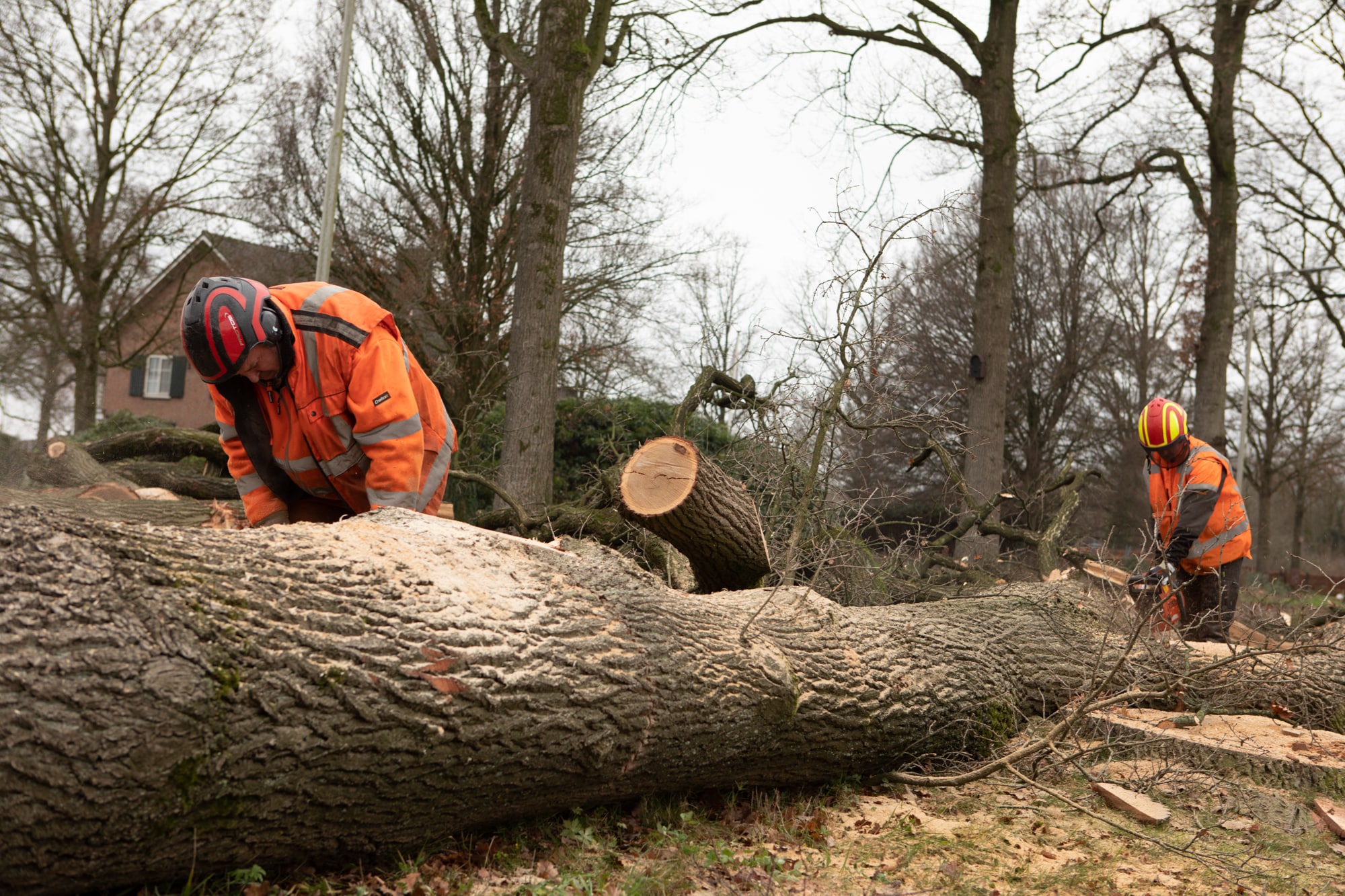 Renovatie Schoorstraat Udenhout - Foto 15