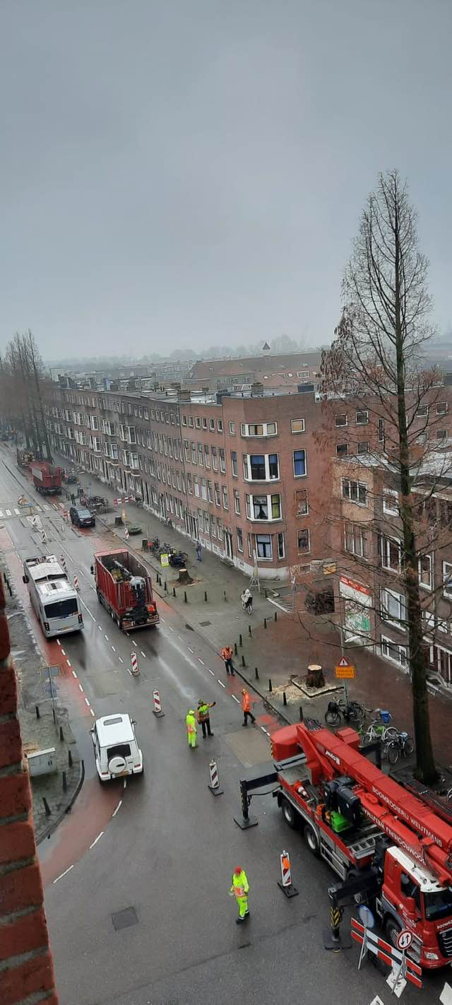 Schiedam; werken in stadsomgeving