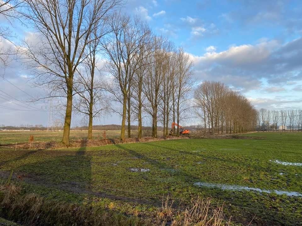 Populieren Gemeente Asten