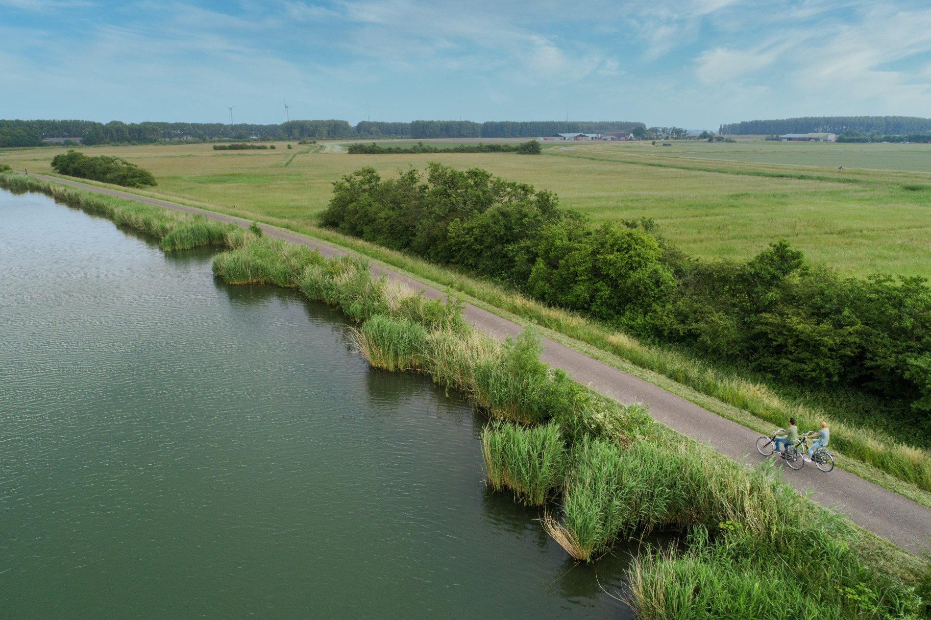 Onderhoud bosplantsoen Nissewaard naar Weijtmans