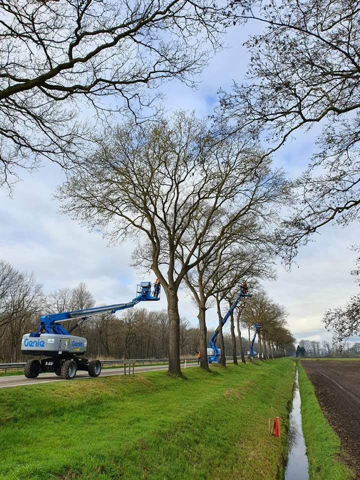 Snoeiwerk in Limburg