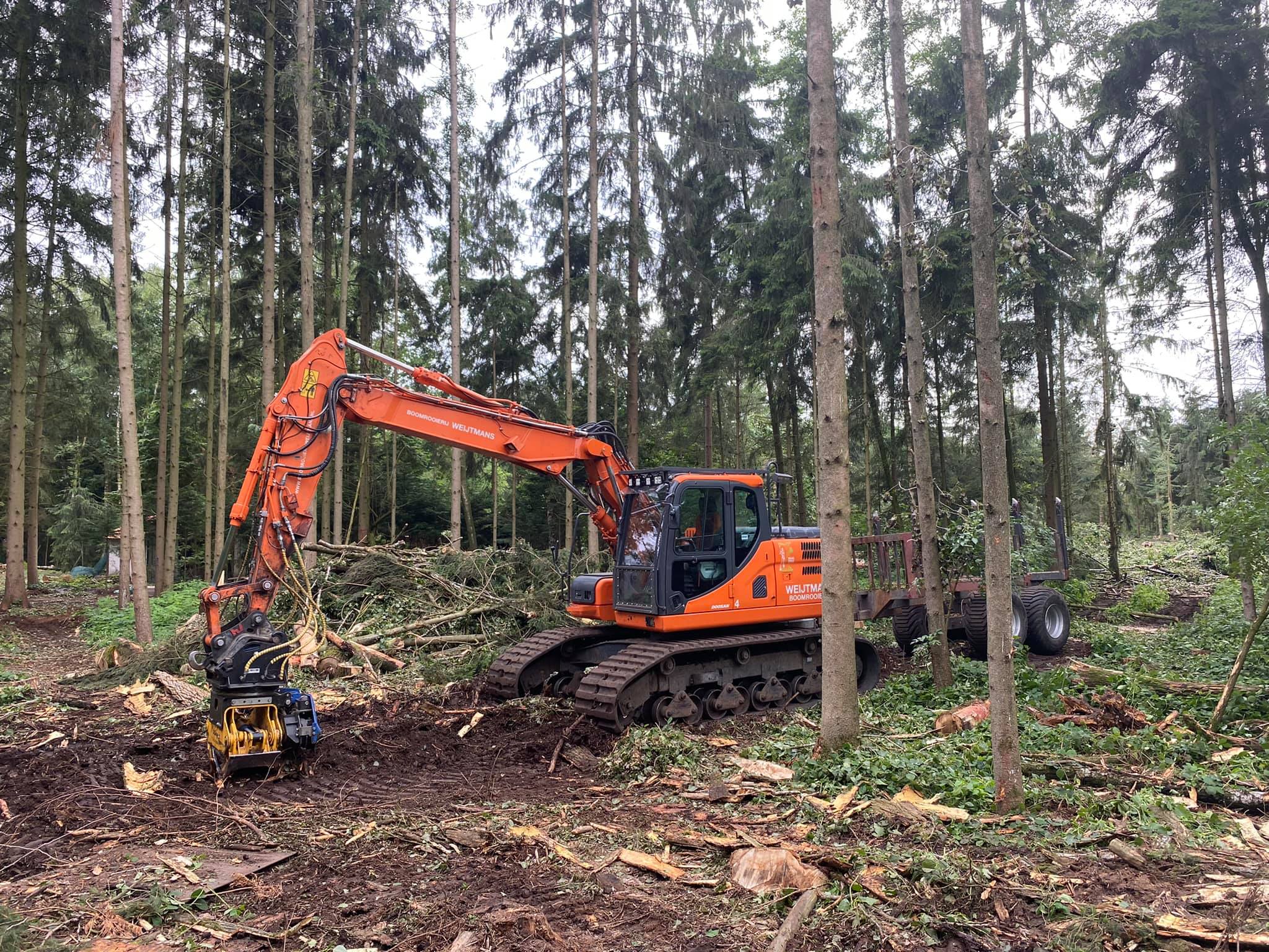 Dunning bosperceel België