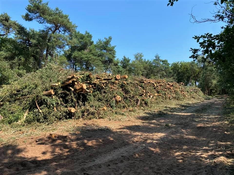 Innovatiestrook A58 - Foto 25