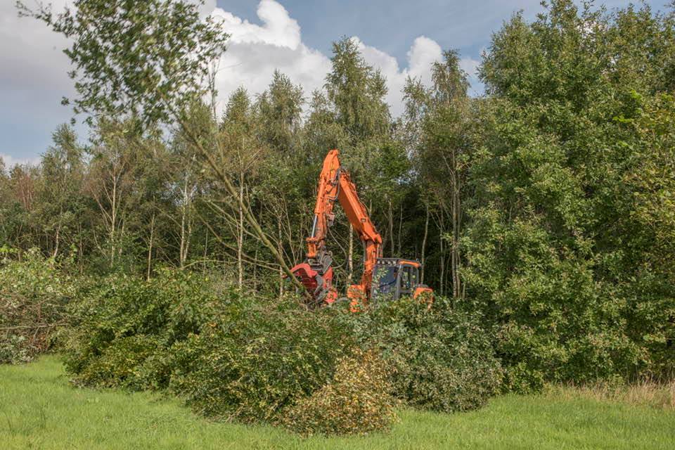 Klotputten Eindhoven - Foto 6