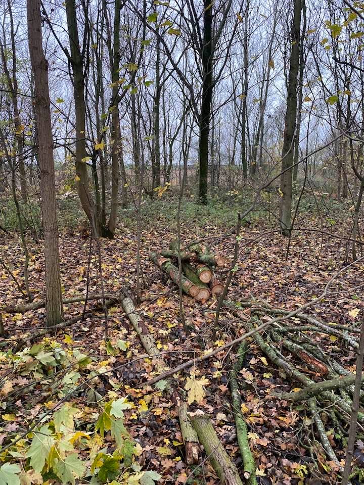 Revitalisering bosgebieden Kreekraksluizen - Foto 2