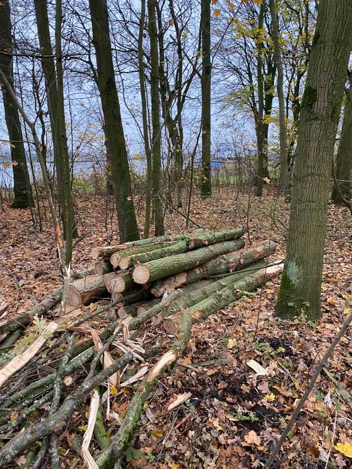 Revitalisering bosgebieden Kreekraksluizen - Foto 3