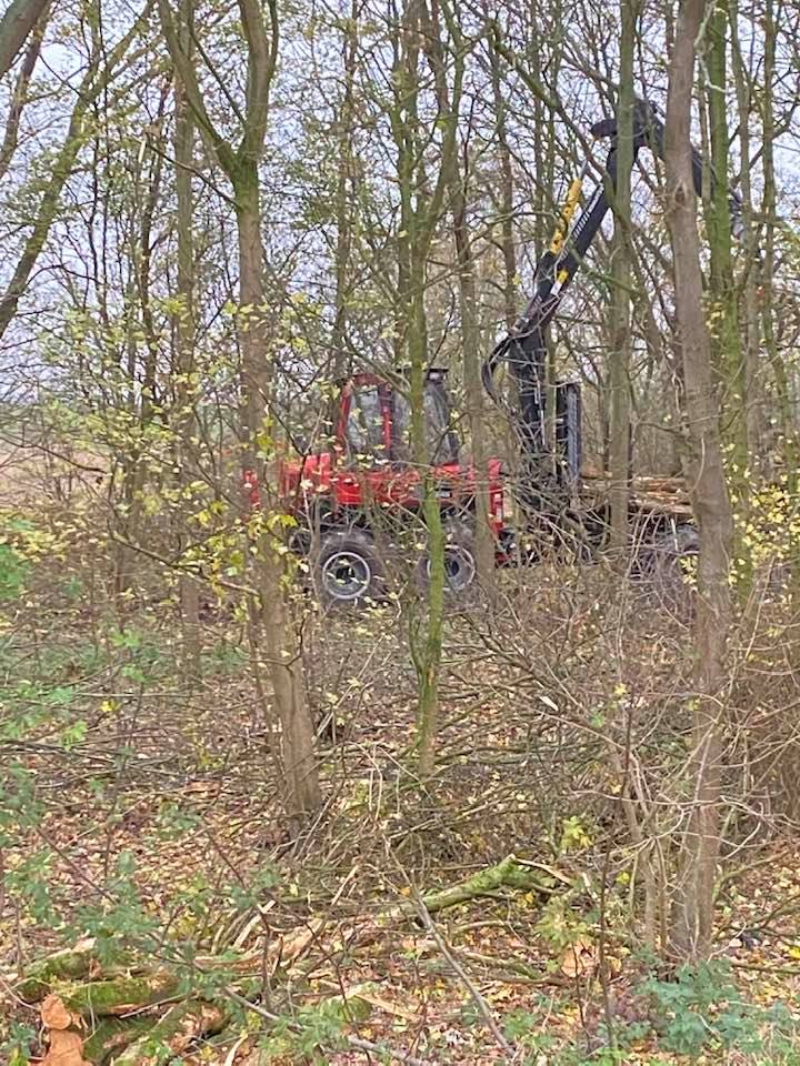 Revitalisering bosgebieden Kreekraksluizen - Foto 4