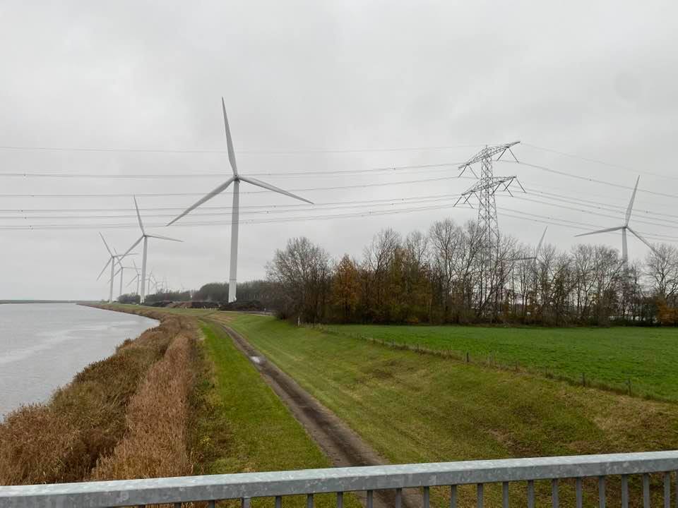 Revitalisering bosgebieden Kreekraksluizen