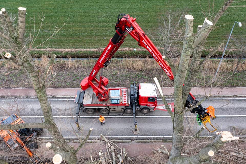 Snoeiwerk Geertruidenberg - Foto 1