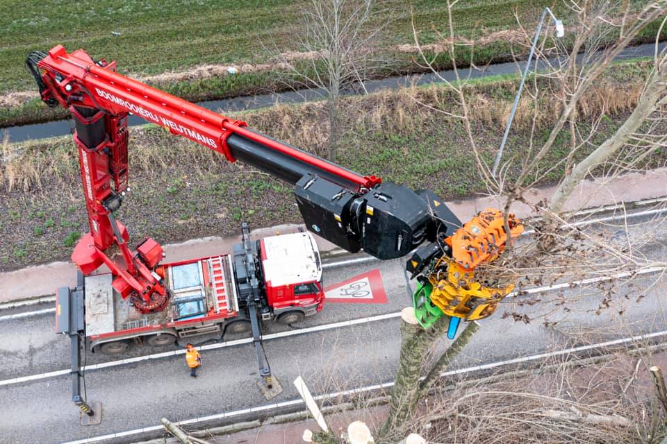 Snoeiwerk Geertruidenberg - Foto 2