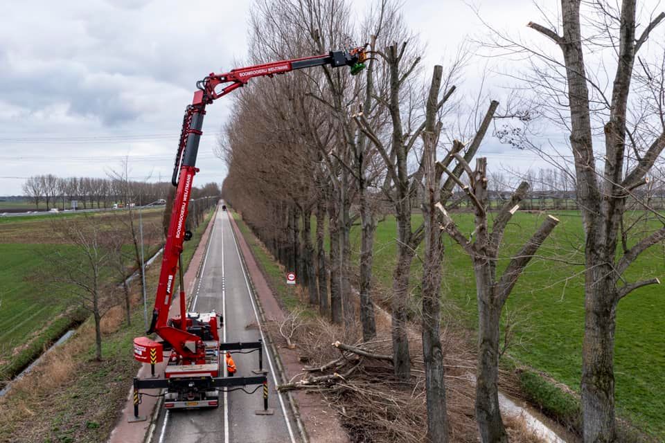 Snoeiwerk Geertruidenberg - Foto 6