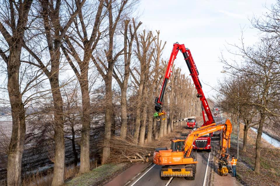 Snoeiwerk Geertruidenberg - Foto 12