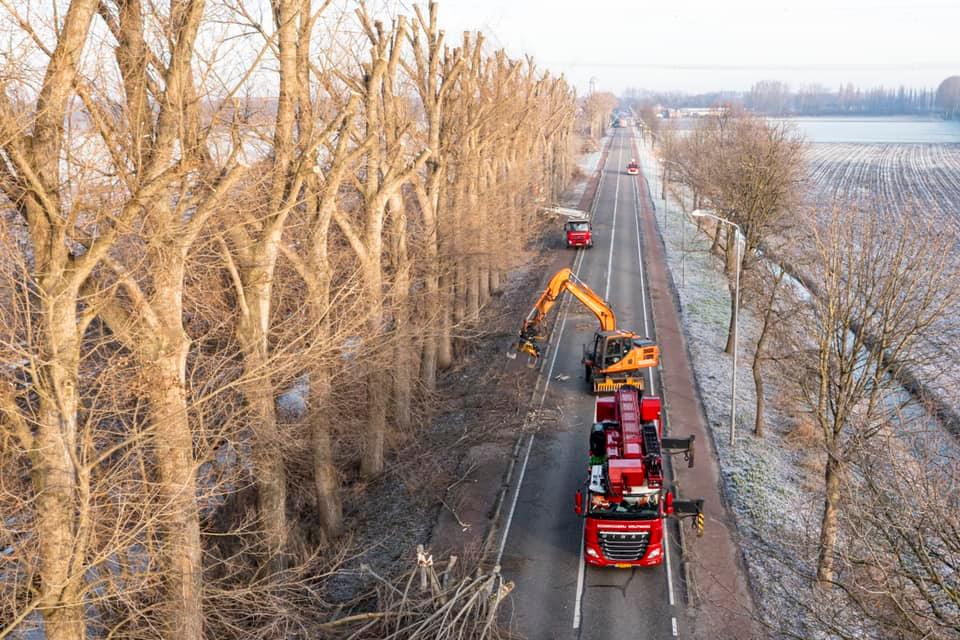 Snoeiwerk Geertruidenberg - Foto 13
