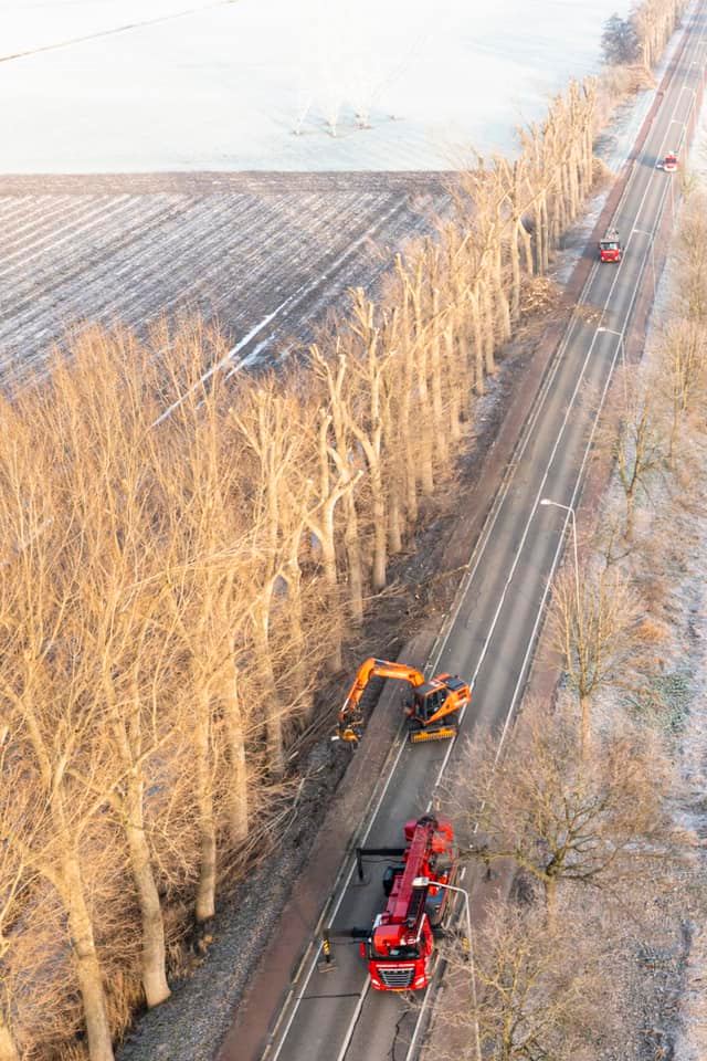 Snoeiwerk Geertruidenberg - Foto 14