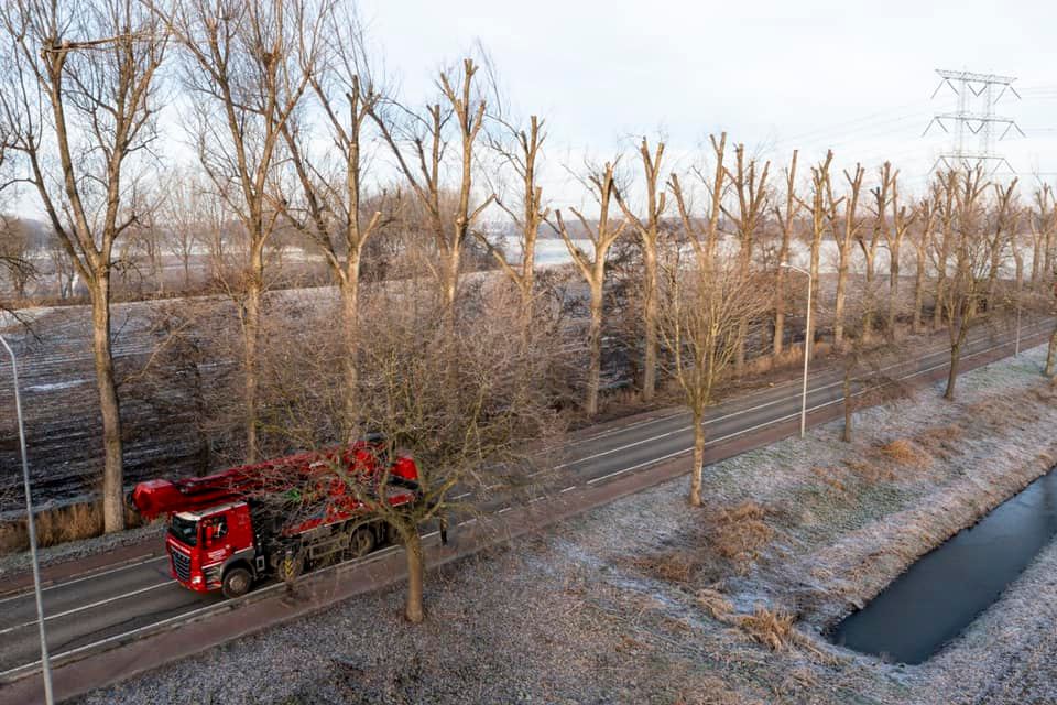 Snoeiwerk Geertruidenberg - Foto 15