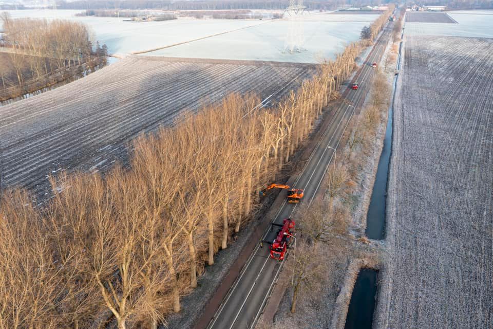 Snoeiwerk Geertruidenberg - Foto 16