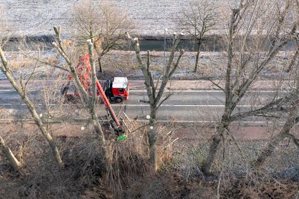 Snoeiwerk Geertruidenberg - Foto 17