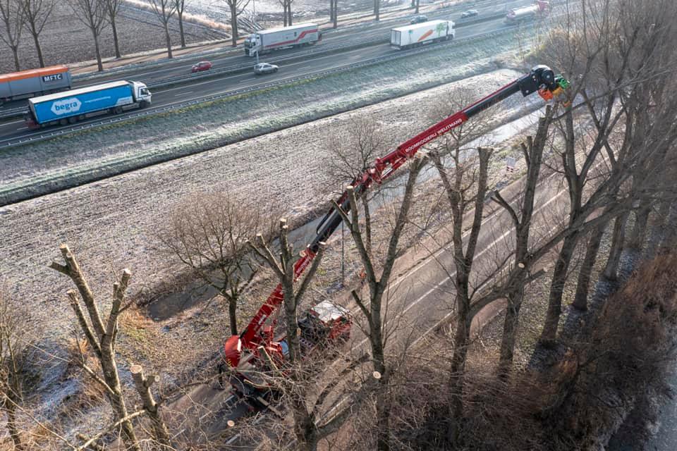 Snoeiwerk Geertruidenberg - Foto 18