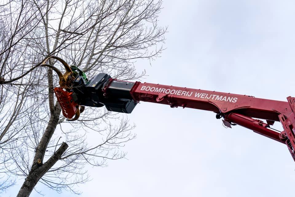 Snoeiwerk Geertruidenberg - Foto 19