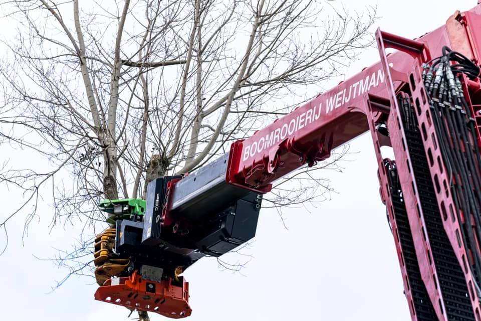 Snoeiwerk Geertruidenberg - Foto 21