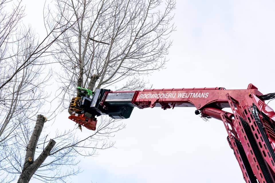 Snoeiwerk Geertruidenberg - Foto 22
