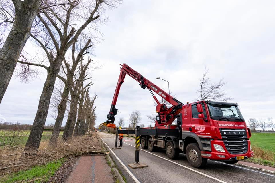 Snoeiwerk Geertruidenberg - Foto 23