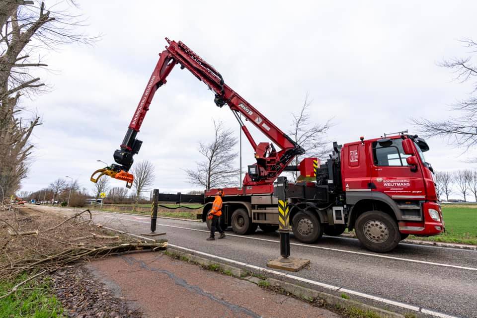 Snoeiwerk Geertruidenberg - Foto 24
