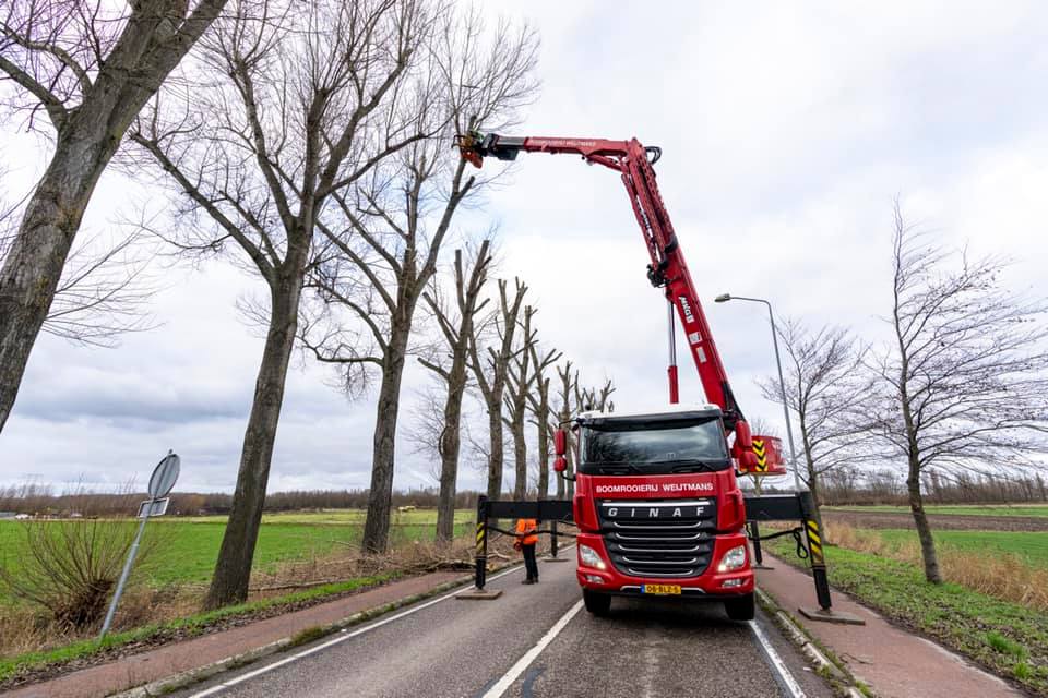 Snoeiwerk Geertruidenberg - Foto 25