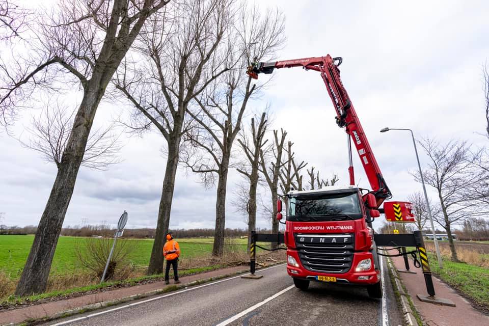 Snoeiwerk Geertruidenberg - Foto 26